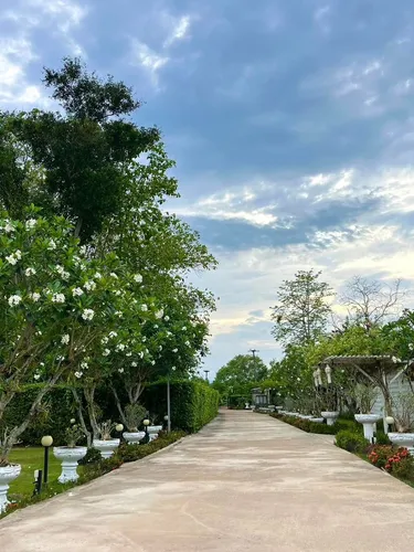รูปภาพของบานาน่าวิลเลจ รีสอร์ท