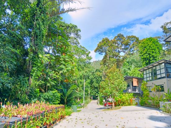 Penang Balik Pulau Daze in Nature Guest House 123