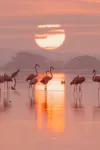 Sable & Pampas — Meublé de Tourisme 5★ - 5-Sterne