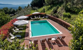 Private Country House with swimming pool -Chianti