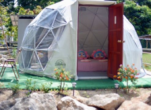 แพนด้าแคมปิ้งเขาใหญ่