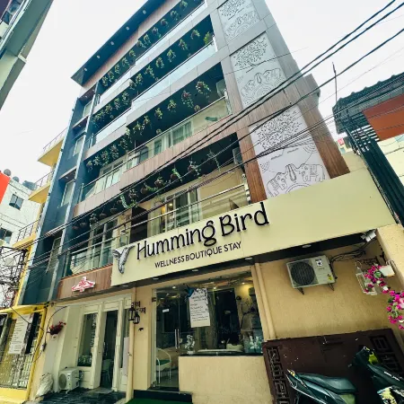 Humming Bird - A Luxury Stay