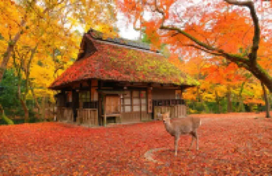 Yamatonoyado　MINAMIBUKURO