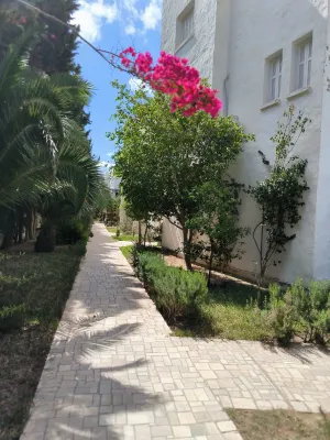 Apartment in Yasmine Hammamet "Yasmina" Hotels in 