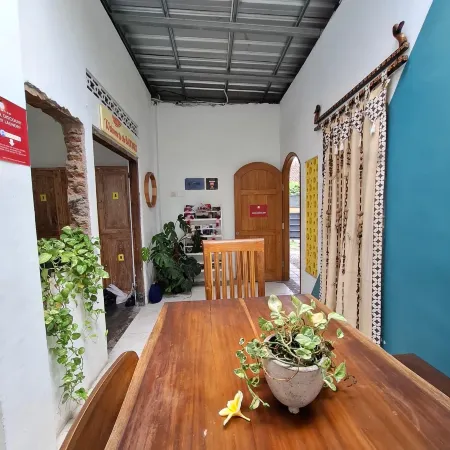 The Backyard Hostel