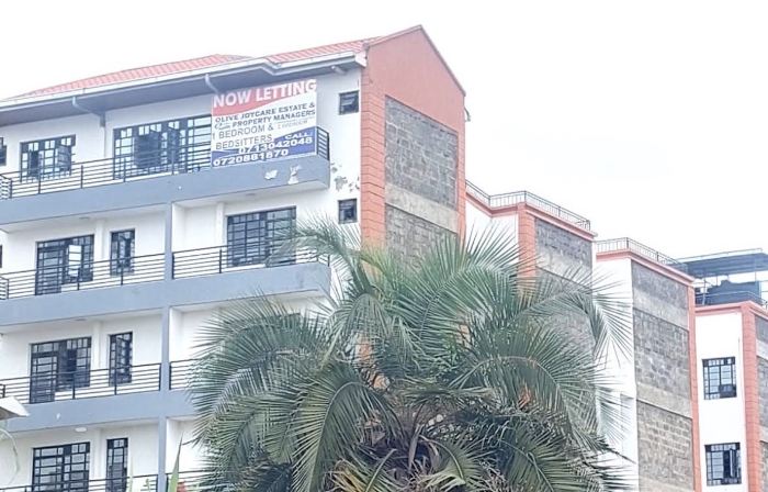 Moon Stays Executive Apartment – Ngong