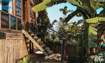 Yidan’s Permaculture Farm stay