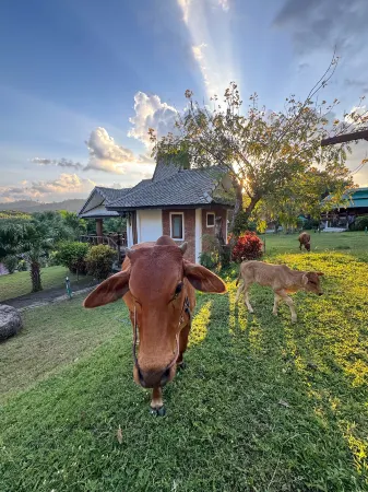 The Nest Pai Love, Wellness Resort & Retreat Center