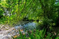 Riverside Garden B and B - 2-Star