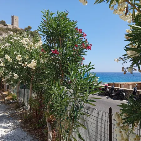 4-Person Seafront Apartment with Garden – Finale Ligure