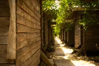 Olympos Yakamoz Pansiyon