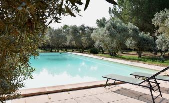 Domaine de Grand Fidele