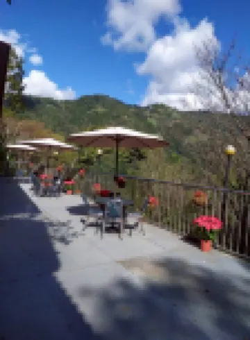 Peach Holiday Manoranor