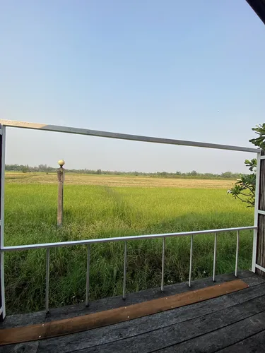 รูปภาพของร้องธาร รวงข้าว