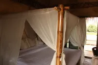 Yidan’s Farm Upstairs bamboo room great view