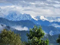 Redpanda Jungle Camp Hotels in Kaluk
