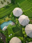 thewakanda A Pramana Experience - palestra