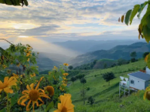 SkyVille cafe&homestay