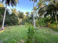 Gizem's Serene Oasis