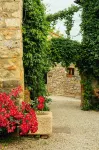 Fattoria San Donato - Pet friendly