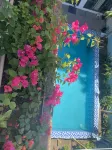XKH APARTMENT - Dağ Manzaralı