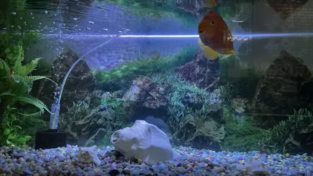 Hotel Raj Отели рядом с достопримечательностью «Tenzing Norgay statue»