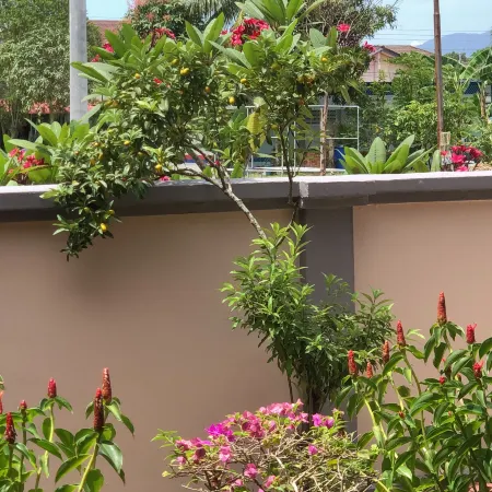 Ipoh Holiday Garden Stay
