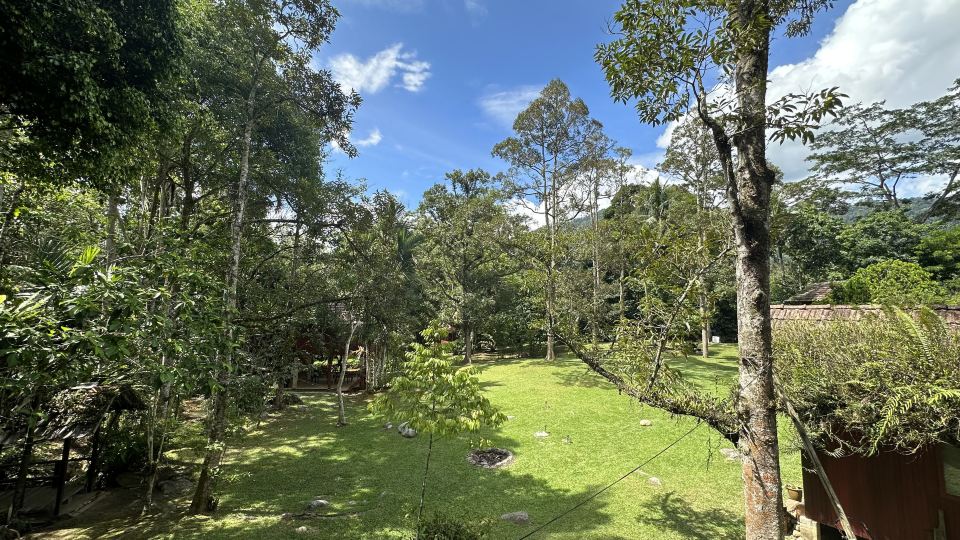 Jungle Zen Janda Baik Campsite