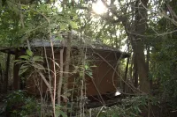 錫吉里亞野生小屋