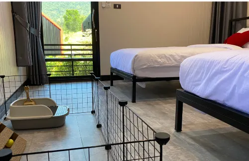 AT KATOON RESORT - Pet friendly