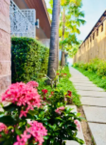 เดอะ สแตรนด์ รีสอร์ท สมุย