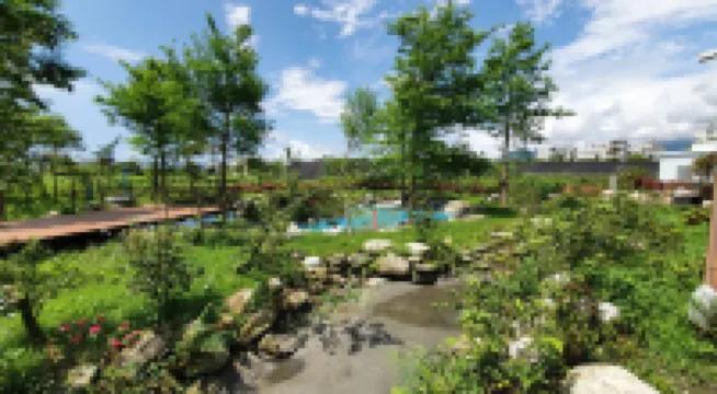 晨曦旅映花園民宿