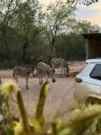 Thula Thula Guest House