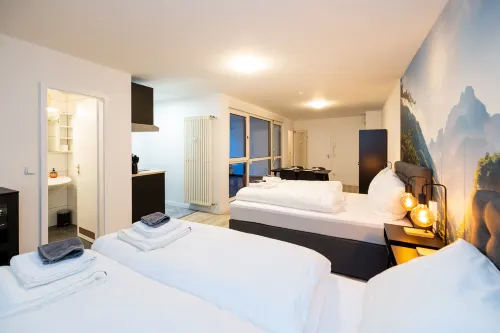 Modern apartments in the city centre - Homestays