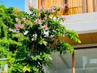 Liven Stay Hotels near Lam Son Stadium