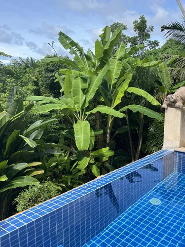 รูปภาพของPINK HOUSE KOH SAMUI