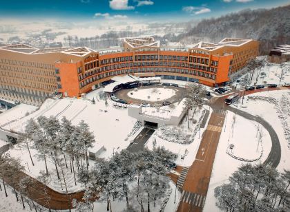 평창 스페이스 허브티 호텔 앤 리조트