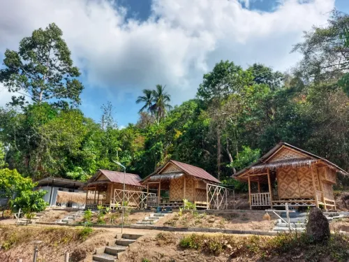 Samui Camping Farm
