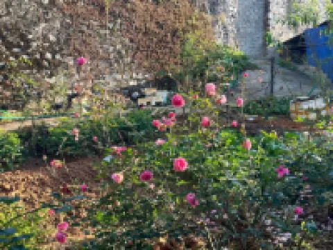 Misty House Sapa Hotels near Cat Cat Village