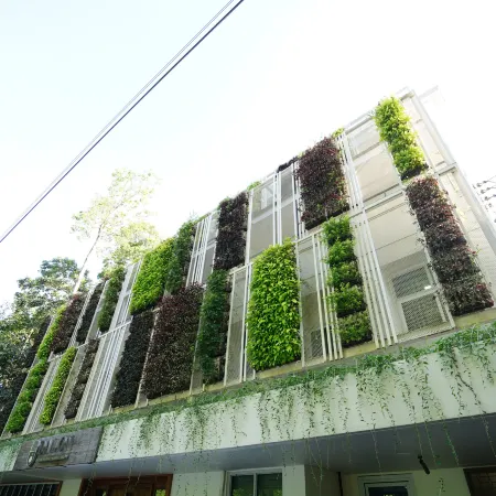 Vine and Canopy