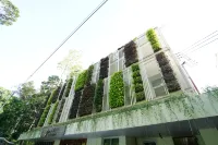 Vine and Canopy - 2-Star