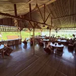 Tradisional house of papua - 2-Star