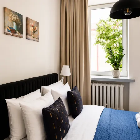 Lumina Apartment near Museum of Fryderyk Chopin