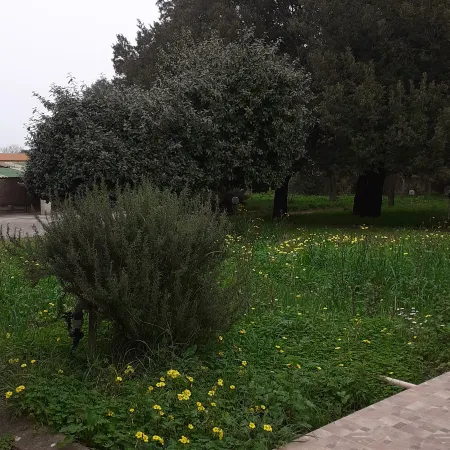 Villa Sun