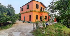 Tharu Mango Garden Resort