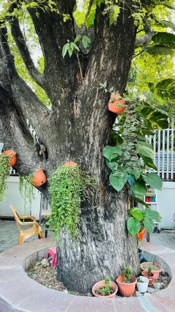 A Luxury Duplex in Dili City, Timor-Leste