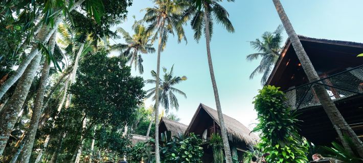 Ubud Jungle Stay - Mahari by WAHM Các khách sạn ở Bali