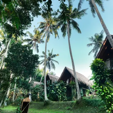 Ubud Jungle Stay - Mahari by WAHM Villa Alamanda周辺のホテル