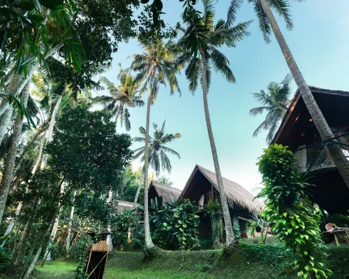 Ubud Jungle Stay - Mahari by WAHM Hotels near Rudana Museum