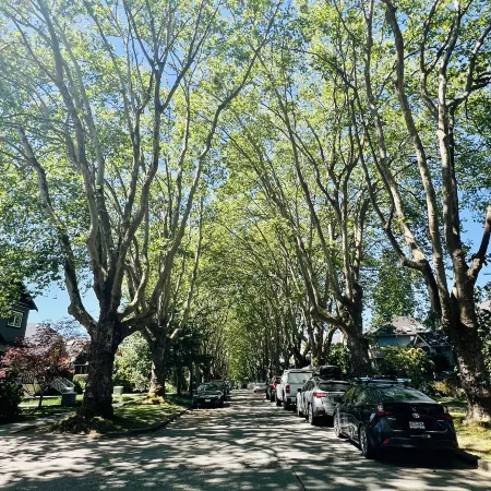 A peaceful and cozy home near UBC and Kitsilano